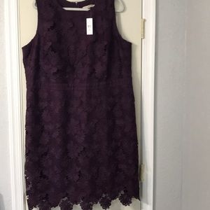 Loft plum color dress